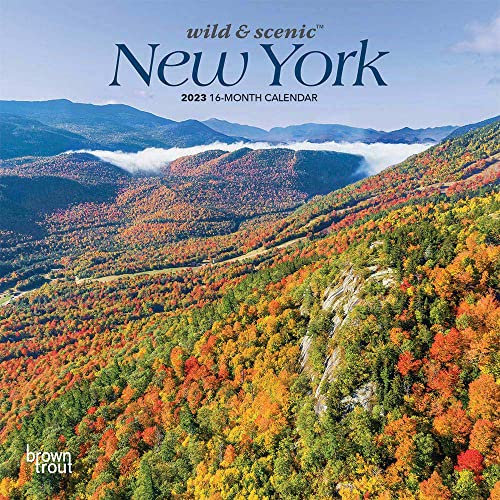 New York Wild & Scenic 2023 Mini 7x7