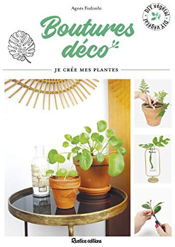 Boutures déco: Je crée mes plantes