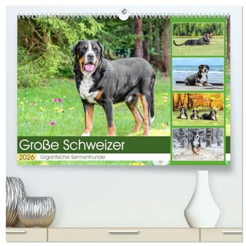 Große Schweizer - Gigantische Sennenhunde (hochwertiger Premium Wandkalender 2026 DIN A2 quer), Kunstdruck in Hochglanz: Die Riesen unter den Sennenhunden ! (CALVENDO Tiere)