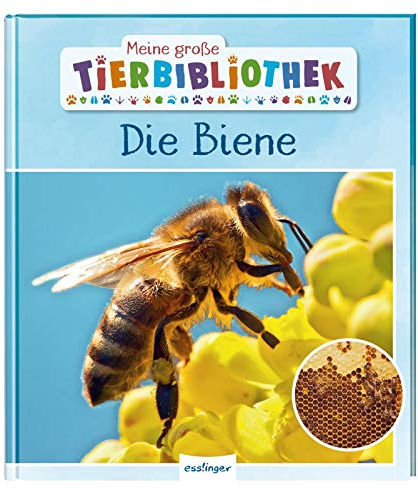 Meine große Tierbibliothek: Die Biene: Sachbuch für Vorschule & Grundschule