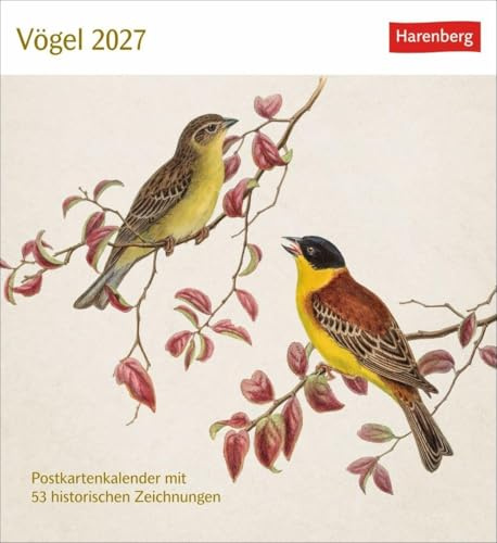 Vögel Postkartenkalender 2027 - Postkartenkalender mit 53 historischen Zeichnungen: Tischkalender mit Retro-Illustrationen. Schönes Geschenk für Kunst- und Naturliebhaber. 16 x 17,5 cm