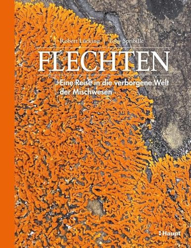 Flechten: Eine Reise in die verborgene Welt der Mischwesen