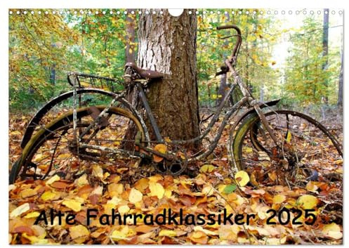 Alte Fahrradklassiker 2025 (Wandkalender 2025 DIN A3 quer), CALVENDO Monatskalender: Schöne alte Fahrräder (CALVENDO Mobilitaet)