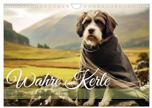 Wahre Kerle (Wandkalender 2026 DIN A4 quer), CALVENDO Monatskalender: Schottische Vierbeiner mit Bart und Kilt (CALVENDO Tiere)