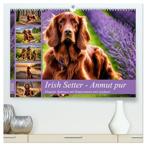 Irish Setter - Anmut pur (hochwertiger Premium Wandkalender 2026 DIN A2 quer), Kunstdruck in Hochglanz: Elegante Spürnase mit Temperament und Ausdauer (CALVENDO Tiere)