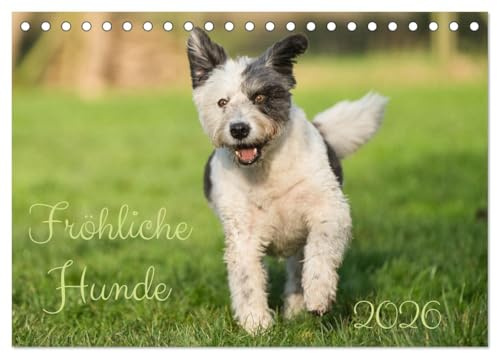 Fröhliche Hunde (Tischkalender 2026 DIN A5 quer), CALVENDO Monatskalender: Der beste Freund des Menschen verbreitet immer gute Laune (CALVENDO Tiere)