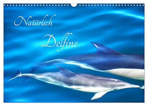 Natürlich Delfine (Wandkalender 2026 DIN A3 quer), CALVENDO Monatskalender: Glückliche Delfine leben in ihrem natürlichen Lebensraum (CALVENDO Tiere)