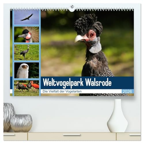 Weltvogelpark Walsrode - Die Vielfalt der Vogelarten (hochwertiger Premium Wandkalender 2026 DIN A2 quer), Kunstdruck in Hochglanz: Vogelparks ... aussterbender Vögel. (CALVENDO Tiere)