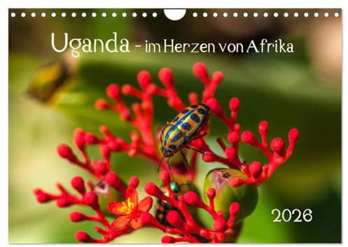 Uganda - im Herzen von Afrika (Wandkalender 2026 DIN A4 quer), CALVENDO Monatskalender: Reise durch ein wunderschönes zentrales afrikanisches Land. (CALVENDO Natur)