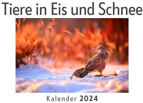 Tiere in Eis und Schnee (Wandkalender 2024, Kalender DIN A4 quer, Monatskalender im Querformat mit Kalendarium, Das perfekte Geschenk)