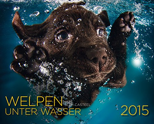 Welpen unter Wasser 2015