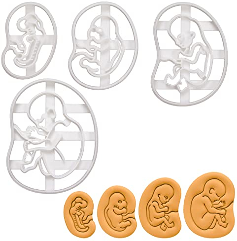 4er Set fötale Entwicklung Ausstechformen (Formen: 4-wöchige, 7-wöchige, 10-wöchige, & 20-wöchige), 4 Teile, Bakerlogy