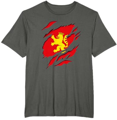 Zaragoza Ciudad Bandera y Escudo Aragón Efecto 3D Camiseta