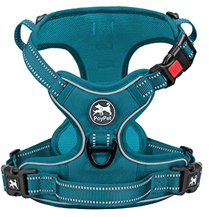 PoyPet No Pull Dog Harness, Reflective Dog Harness for No Choke Dogs, Soft Padded Pet Vest with Easy Control Handle(Tumalo Teal Matching Trim, XS)