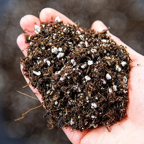 Carnivorous Plant Potting Mix - Venus Flytrap Soil, Pitcher Plant Soil, Sundew Sol, Enriched with Nutrients (5L)