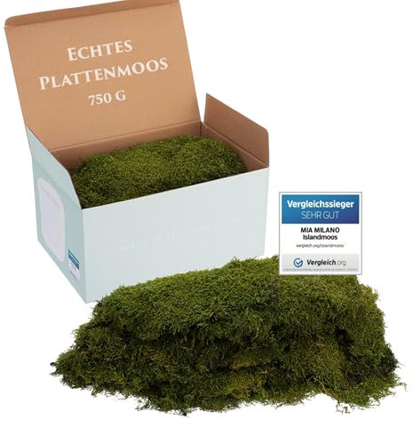 Plattenmoos lang konserviert naturgrün | Deko Wand Moos Platten haltbar | DIY Moosbild selber Machen | 750g Naturgrüne Natur Moosmatte lebend in Grün