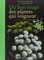 Du bon usage des plantes qui soignent