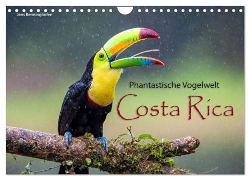 Phantastische Vogelwelt Costa Rica (Wandkalender 2026 DIN A4 quer), CALVENDO Monatskalender: Entdecke 12 tropische Vogelarten aus Costa Rica (CALVENDO Tiere)