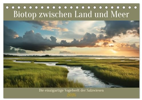 Biotop zwischen Land und Meer (Tischkalender 2026 DIN A5 quer), CALVENDO Monatskalender: Einzigartige Vogelwelt der Salzwiesen (CALVENDO Natur)