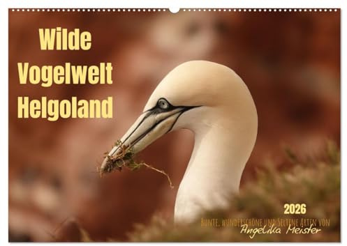 Wilde Vogelwelt Helgoland (Wandkalender 2026 DIN A2 quer), CALVENDO Monatskalender: Auf der Insel Helgoland lassen sich zahlreiche und seltene Vogelarten wunderbar beobachten. (CALVENDO Orte)