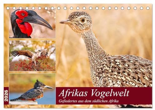 Afrikas Vogelwelt 2026 (Tischkalender 2026 DIN A5 quer), CALVENDO Monatskalender: Gefiedertes aus dem südlichen Afrika (CALVENDO Tiere)