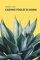 Cadono foglie di agave (Nuove voci. Strade)