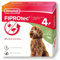 Beaphar - FIPROtec Spot-On for Large Dogs (20–40kg) - Kills Fleas & Ticks - Vet Strength Treatment - 4 Pipettes