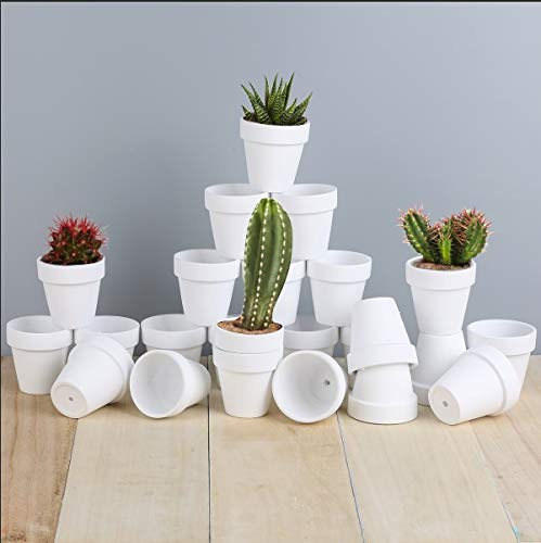 Lot de 24 mini pots en terre cuite de 6,3 cm, pots de fleurs en terre cuite, pots de fleurs en terre cuite, pots de fleurs en terre cuite, pots avec trou de drainage, pour intérieur/extérieur