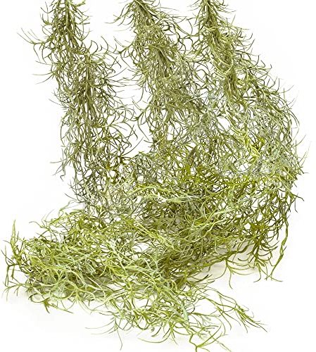 SEEKO Succulents Muschio spagnolo XL (3 pezzi, lunghi 83,8 cm), muschio finto per artigianato