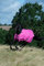Bucas Freedom Turnout Light in Spicy Pink, Größe:100
