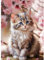 CEOVR Diamond Painting Kit Completo,DIY Diamond Art Kits Adulto,Pintura Diamante 5D,Diamate Painting Kits (rose marron beige)