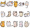 15 Stk Katze Buegelbilder Kinder Patch Sticker Patches Zum Aufbügeln Aufnäher Katze Niedlich Patches Zum Aufbügeln Katze Patches Zum Aufbügeln Für Aufnähen Oder Aufbügeln Auf Kleidung, Jeans, Hut