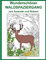 Wunderschöner Waldspaziergang - zum Ausmalen und Relaxen: Malbuch für Erwachsene