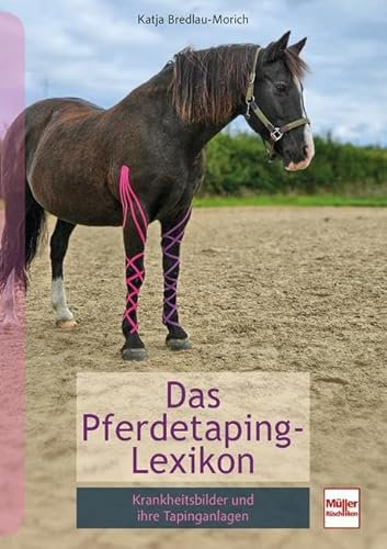 Pferdetaping-Lexikon: Krankheitsbilder und ihre Tapinganlagen