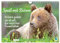 Spaß mit Bären: Edition lustige Tiere (Wandkalender 2025 DIN A4 quer), CALVENDO Monatskalender: Bären: Meister Petz, freche Sprüche zum täglichen Wahnsinn im Job (CALVENDO Tiere)