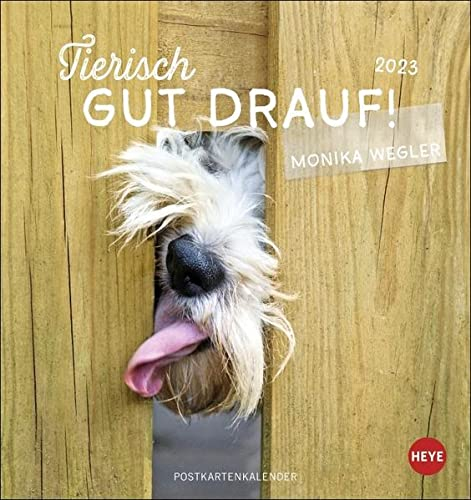 Tierisch gut drauf Postkartenkalender 2023 von Monika Wegler. Kleiner Kalender zum Aufstellen, Aufhängen und Schmunzeln. Witzige Fotos im Tierkalender 2023.