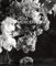 Vera Mercer – New Works