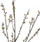 Unbekannt Künstlicher KIRSCHBLÜTENZWEIG ca 115 cm. Kirsch - Blüten - Knospen - AST, Zweig in PFIRSICH PINK 18606 25