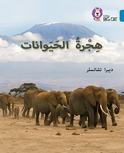 Collins Big Cat Arabic – Animal Migration: Level 13 (English and Arabic Edition)