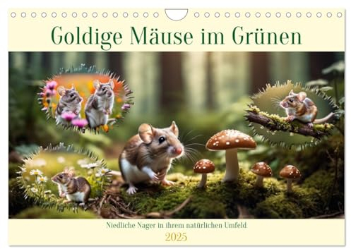 Goldige Mäuse im Grünen (Wandkalender 2025 DIN A4 quer), CALVENDO Monatskalender: Niedliche Nager in ihrem natürlichen Umfeld (CALVENDO Tiere)