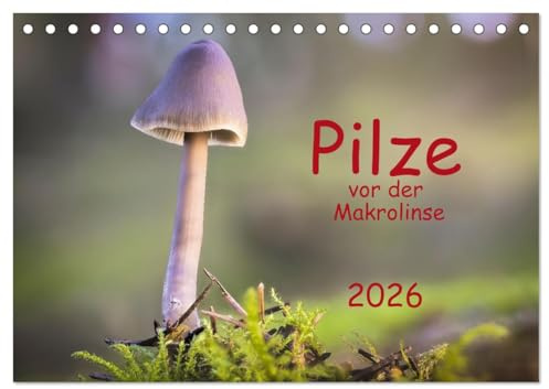 Pilze vor der Makrolinse 2026 (Tischkalender 2026 DIN A5 quer), CALVENDO Monatskalender: Fotos von Pilzen verschiedenster Größe und Farbe. (CALVENDO Natur)