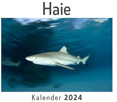 Haie (Wandkalender 2024, Kalender DIN A4 quer, Monatskalender im Querformat mit Kalendarium, Das perfekte Geschenk)