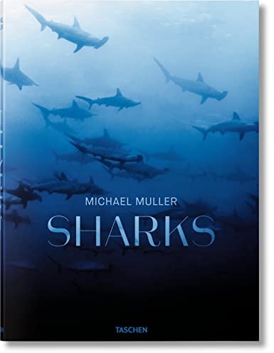 Michael Muller. Sharks: Face-to-Face with the Ocean's Endangered Predator