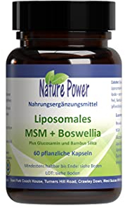 Liposomales MSM + Boswellia | 60 pflanzliche Kapseln | Maximale Bioverfügbarkeit | Lange Haltbarkeit | gentechnikfrei und vegan | von Nature Power