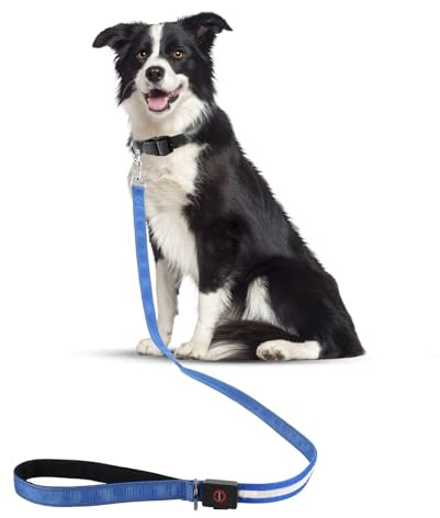 LED Hundeleine 1,2 m USB-Aufladbar, Wasserdicht & Reflektierend – Leuchtendes Halsband für Hunde mit 4 Lichtmodi für Nachtsicherheit, Geeignet für Große/Mittel Hunde (Blau)