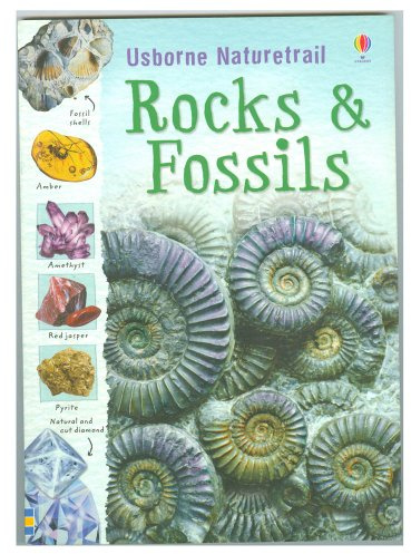 Rocks and Fossils: 1 (Naturetrail)