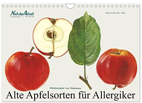 Alte Apfelsorten für Allergiker (Wandkalender 2026 DIN A4 quer), CALVENDO Monatskalender: Obstsortentafeln von alten Apfelsorten für Allergiker (CALVENDO Natur)