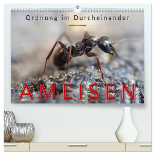 Ameisen - Ordnung im Durcheinander (hochwertiger Premium Wandkalender 2026 DIN A2 quer), Kunstdruck in Hochglanz: Eindrucksvolle Bilder der ... organisierten Staaten leben. (CALVENDO Tiere)