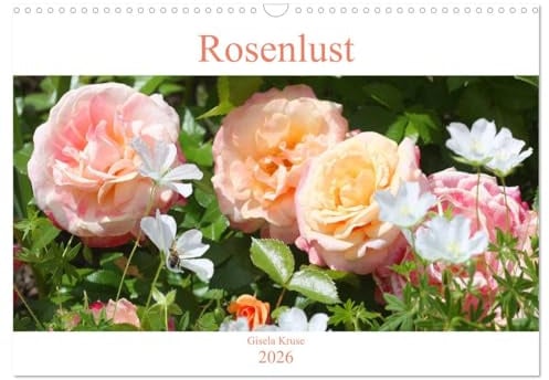 Rosenlust (Wandkalender 2026 DIN A3 quer), CALVENDO Monatskalender: Leidenschaft für Rosen in bezaubernden Bildern festgehalten (CALVENDO Natur)