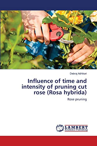 Influence of time and intensity of pruning cut rose (Rosa hybrida): Rose pruning